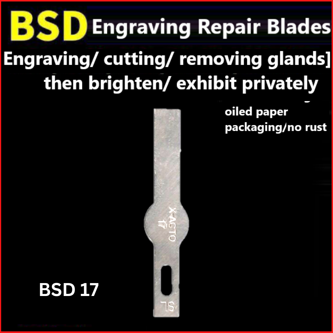 bsd 17 carving knife (10 pcs) bsd 17 carving knife (10 pcs)