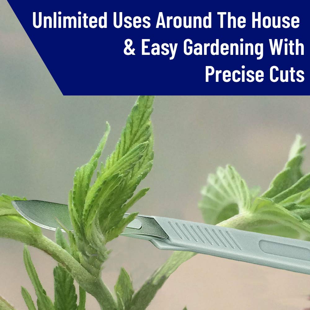 carbon steel surgical blade carbon steel surgical blade